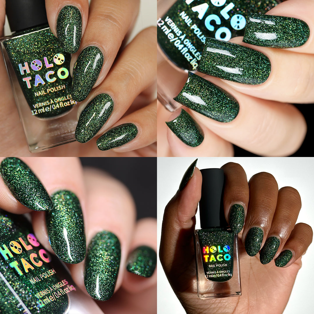 Holo Renaissance Bundle