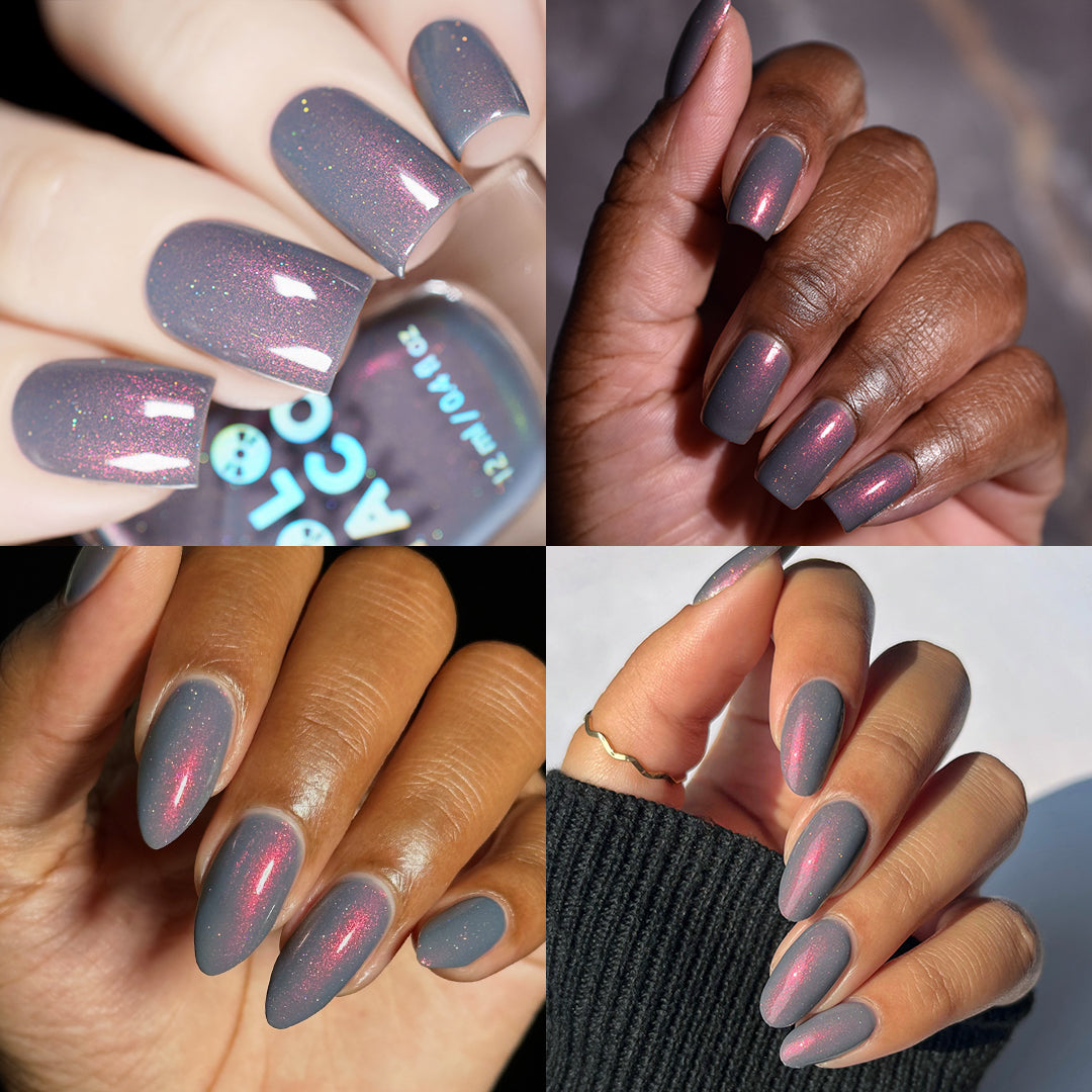 Safiya x Holo Taco Collection
