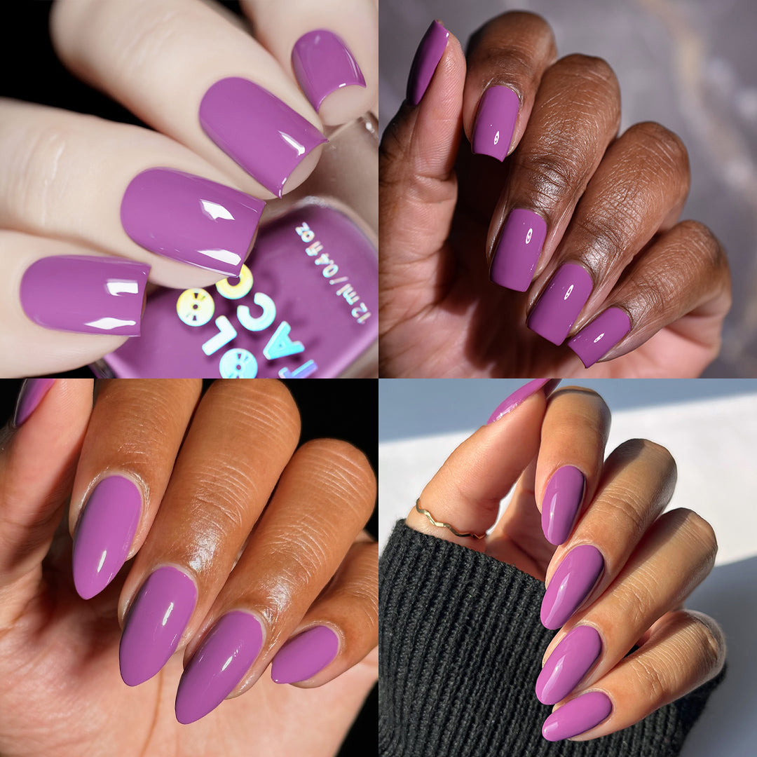 Safiya x Holo Taco Collection