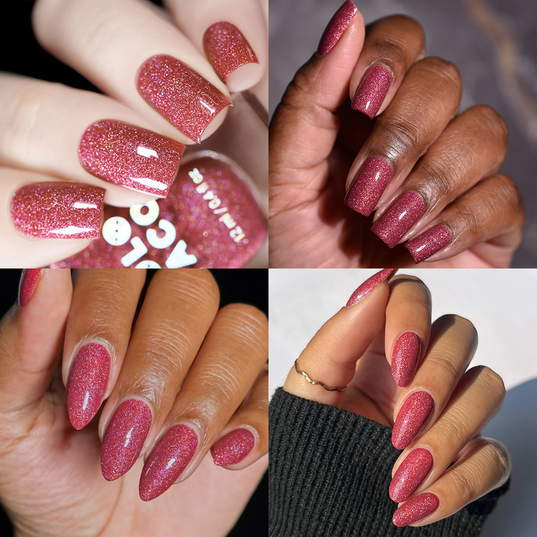 Safiya x Holo Taco Collection