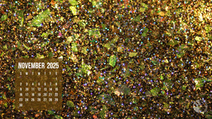 12 Days Calendar-November eeb05537-a490-4275-8e95-72db4697b036Zoom Backgrounds