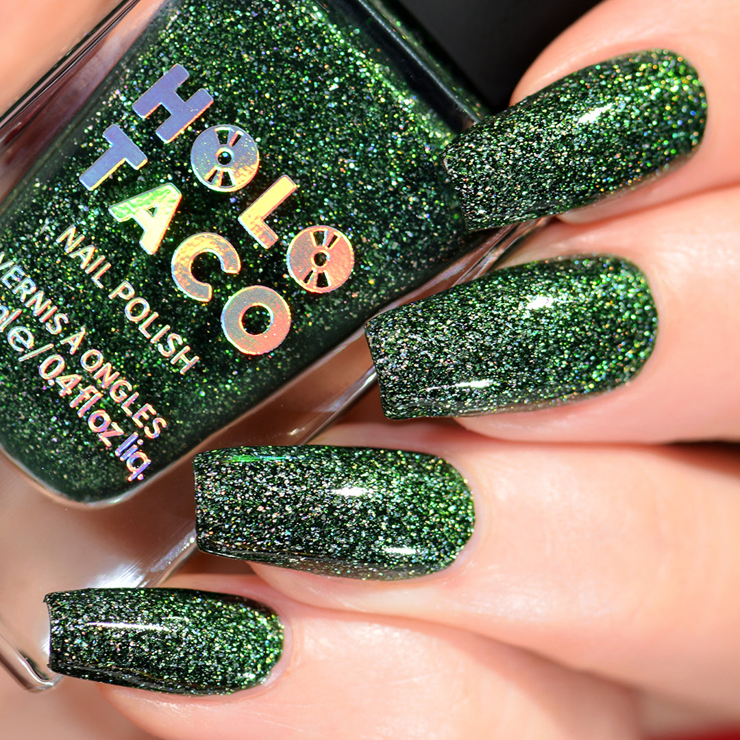 Holo Renaissance Bundle