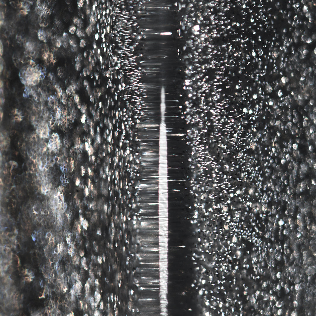 Reflective Taco (Birthday Gift)