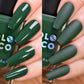 Monstera
